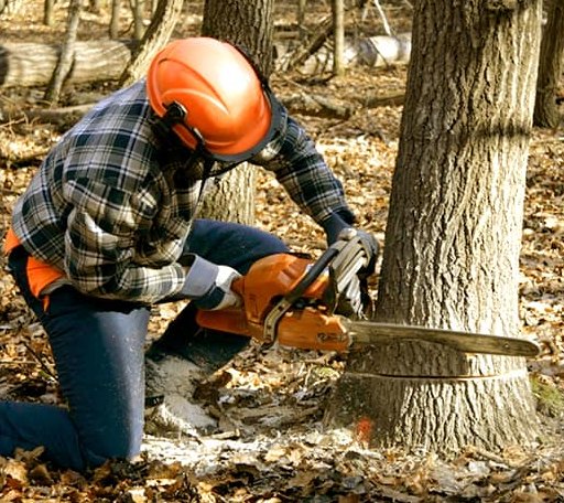 Tree Removal in Rufe, OK
